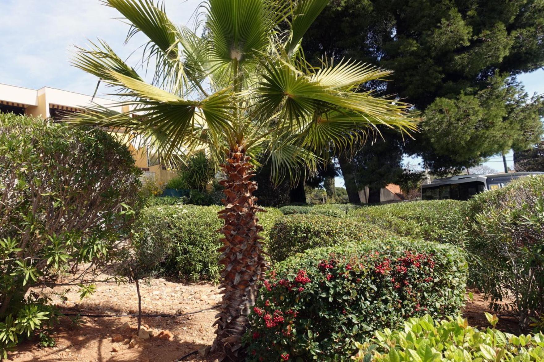 Les Jardins De Bandol, Piscine Privee, Belle Vue Mer Екстер'єр фото