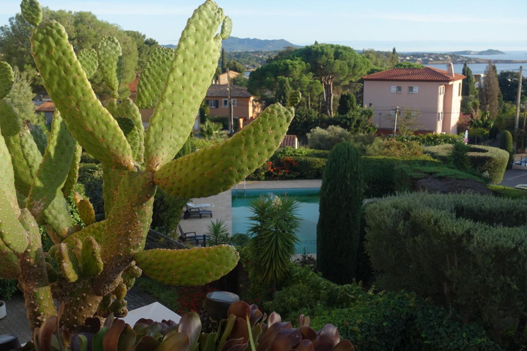 Les Jardins De Bandol, Piscine Privee, Belle Vue Mer Екстер'єр фото